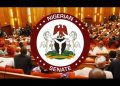 Benue Bloodbath: Senate Condemns Killing Of 113, Including 6 Policemen, Demands Federal Action