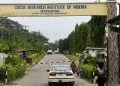 Scientists as Contract Supervisors: How Nigeria Swapped Its Cocoa Crown for Political Infrastructural Contracts!