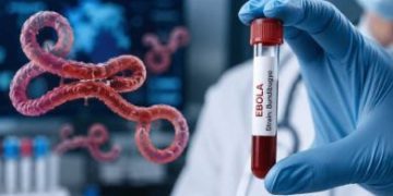 Ebola Scare: FG Begins Tracing, Identifies 44 Close Contacts in FCT