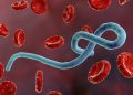 Ebola: Day Pandemic Killed an Aláàfin