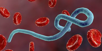 Ebola: Day Pandemic Killed an Aláàfin