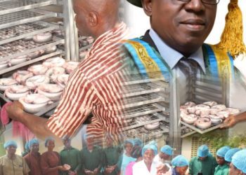 From Research to Revenue: FUNAAB’s Push for Safer, More Profitable Smoked Fish