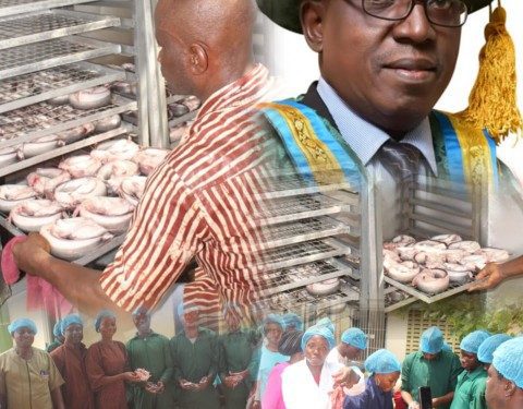 From Research to Revenue: FUNAAB’s Push for Safer, More Profitable Smoked Fish