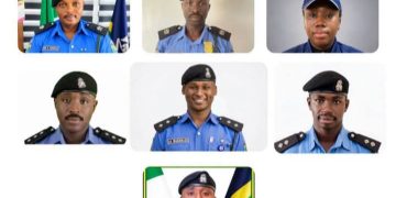 IGP Disu Posts New Police PROs to Commands, Formations