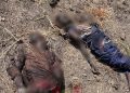 Troops Kill 15 Terrorists In Precision Airstrike Near Gwoza