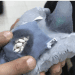 Customs Catch Drug – Smuggling Pigeon Carrying 178 Pills in Tiny Backpack