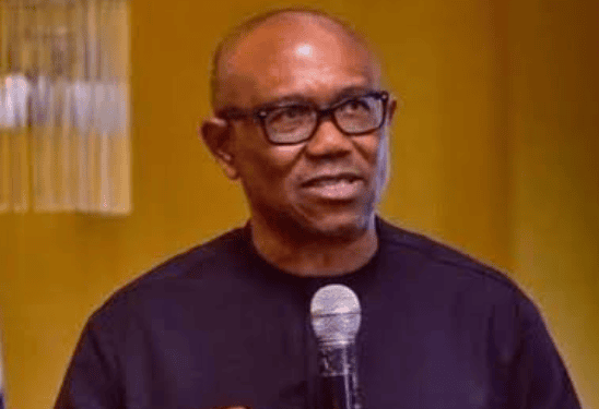 2027: ‘Stop Sending Money Home,’ Obi Tells Nigerians in UK